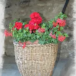 Souvenir De Tsaneli *