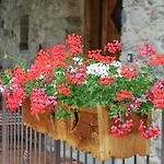 Souvenir De Tsaneli Roisan
