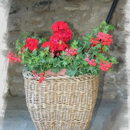 Souvenir De Tsaneli *