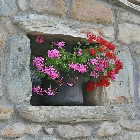 Souvenir De Tsaneli Appartamento Roisan