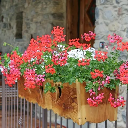 Souvenir De Tsaneli Roisan