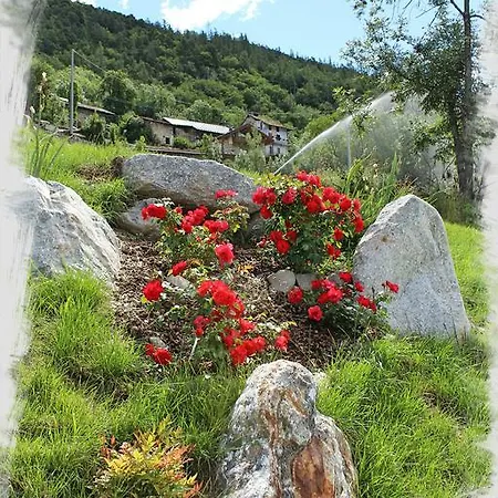Souvenir De Tsaneli