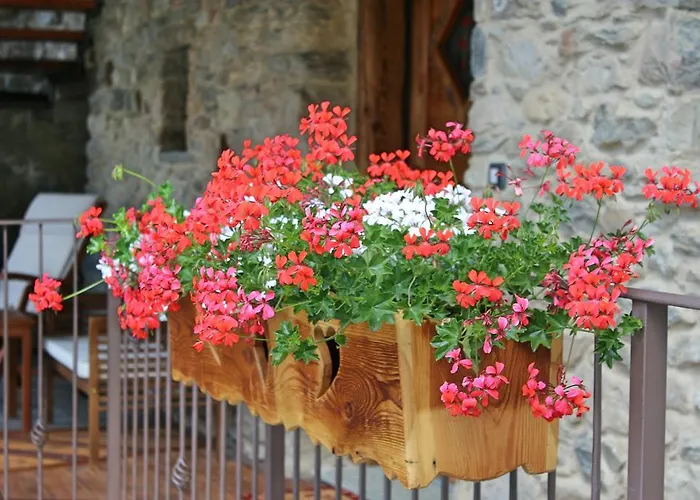 Souvenir De Tsaneli Roisan